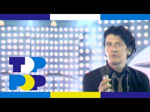 Herman Brood - Hot Shot • TopPop