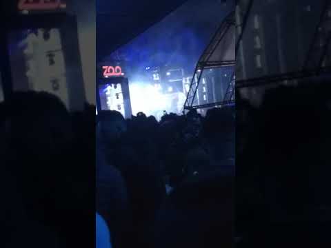 Zoominimal 2018  neelix