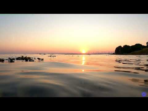 DevNet.Create21, Machine Learning RESTNgin w. GOLang and Laisa,Gopher Goodies