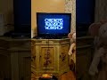 Opening To Sesame Street Do The Alphabet 1996 VHS
