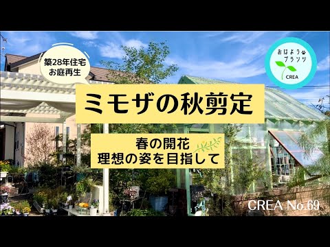 庭園のデザイン: 芳香のあるハーブのスパイラルを独自に作成します。  庭園