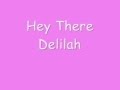 Hey There Delilah (Lyrics) Plain White T's 