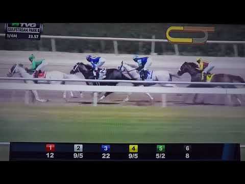 GULFSTREAM PARK HARDACRE MILE (G STAKES) 3/CONQUEST BIG E !!