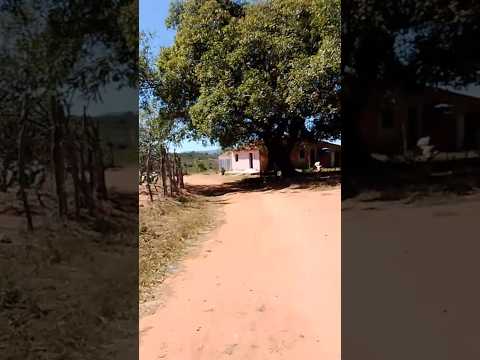 às belas imagens dos limites de Paraíba e Pernambuco,, alto da serrinha dos Carlos quixaba pe!