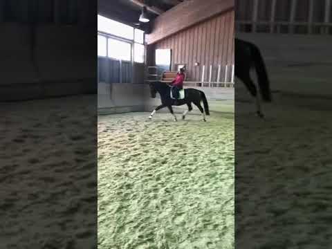 Fine Time v. Fiderbach