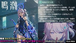 鳴潮 カルテジア【フルールドリス】3凸 ホロタクティクス ダーニャ レベル100 単体 チャレンジ【Wuthering Waves】