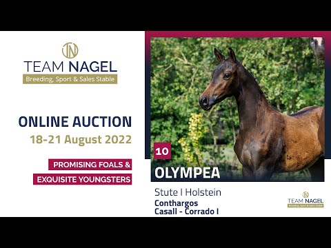 Katalog 10 - Stute v. Conthargos - Casall – Corrado I * 17.04.2022