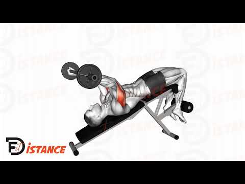 Barre au front décliné (Skull crusher) - Exercice Barre au front décliné (Skull crusher) en vidéo