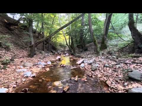 35 DECLARES OF LAND FACING A STREAM 0506 948 62 45