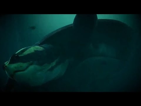 Titanoboa: Monster Snake [2012] - Carbonemys Screen Time