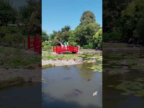 Jardín Japonés Escobar. El primero de todos. #provinciadebuenosaires #escobar #jardinjapones