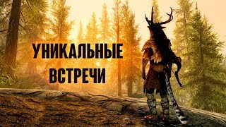 Skyrim РЕДКИЕ И УНИКАЛЬНЫЕ ВСТРЕЧИ