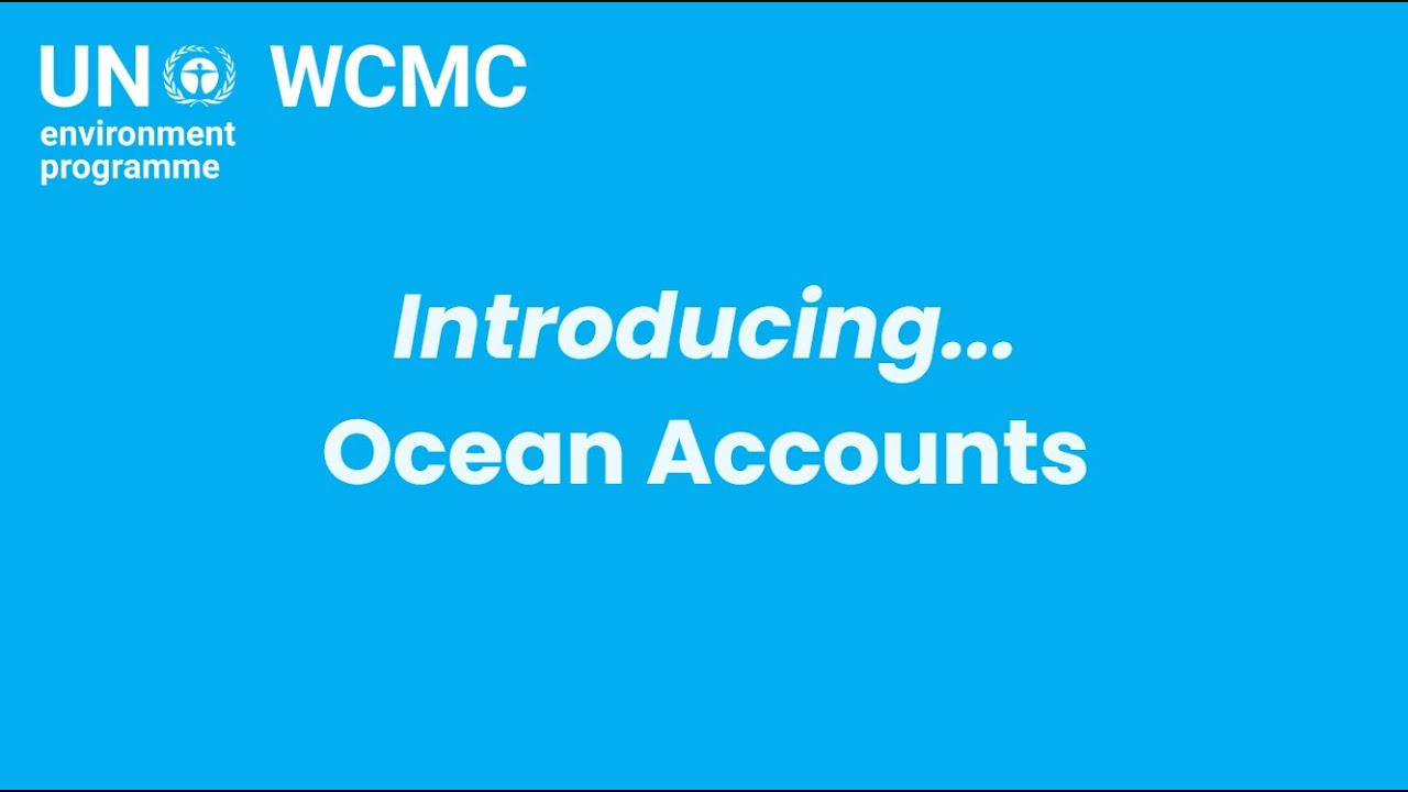 Introducing Ocean Accounts