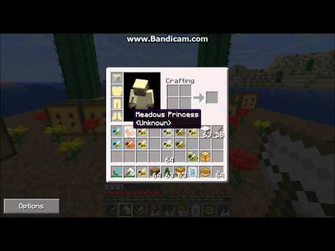 Minecraft Forestry Mod: Beekeeping Tutorial: Part 2, Getting Bees and Starting Apiaries