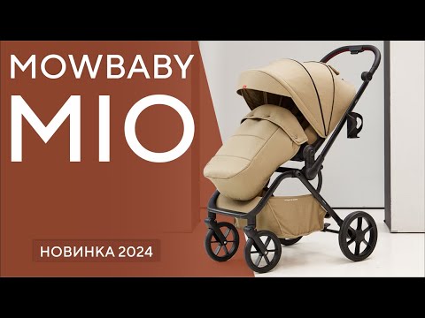 фото прогулочная коляска для детей с реверсивным блоком 0