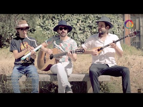 CHINTATÁ - Cinta Morada (Los Campesinos)