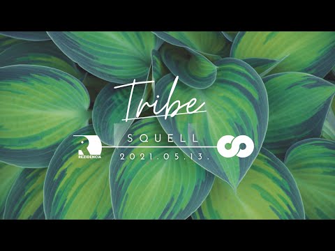 Rezidencia Groove "Tribe" - Squell