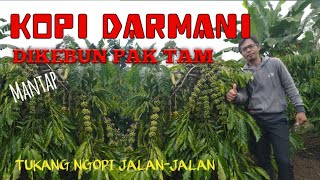 Download lagu KOPI DARMANI DI KEBUN PAK TAM LUAR BIASA LEBAT || TUKANG NGOPI JALAN-JALAN || Buah setabil mp3