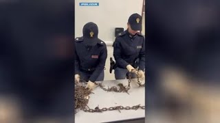Le catene chiodate usate dalla banda di ladri: «Sfumato l'assalto al supermercato»