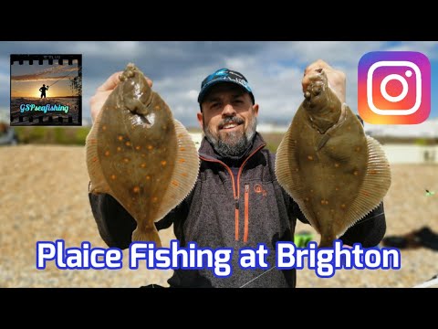 Sea Fishing UK | Brighton, East Sussex | Catching Plaice From the Shore 2021