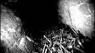 Leviathan - The Idiot Sun [HD]