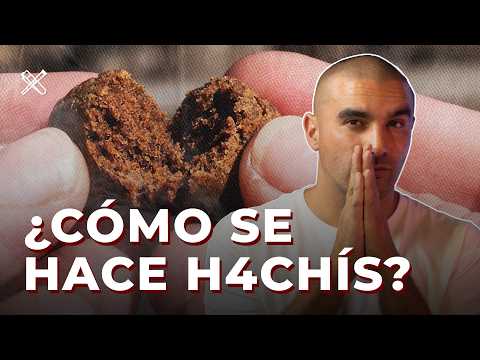 ¿QUÉ ES EL HACHÍS Y DE DÓNDE VIENE?