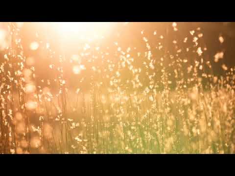 Mark Brickman & Yam Who? feat Venessa Jackson - Shined On me