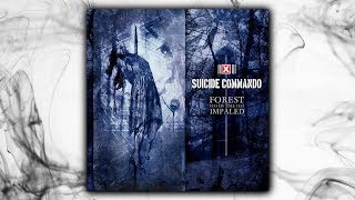 Suicide Commando - The Devil (Cold Therapy Cover)