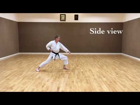 S.K.I.F. Nidan Kihon #1