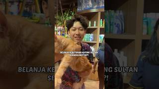 Download lagu Jajanin kucing SULTAN!! mp3 Download lagu Jajanin kucing SULTAN!! mp3