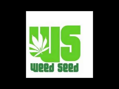Alozade feat Kiprich - Cant Style me (Anti Virus Riddim) Nov 2010 WeedSeed Pro