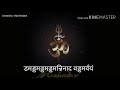 Mahashivratri Shiv Tandav Whatsapp Status Mahashivratri Special