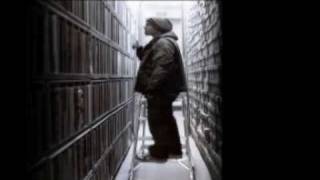 Dj Shadow - Building Steam With A Grain Of﻿ Salt (NiT GriT Mix)