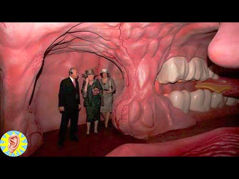 8 Museums You Won't Believe Exist