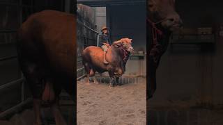 Download lagu RODEO TIME WITH WARISO  #wariso #sapi #sapijumbo #rodeo #sapisuper mp3