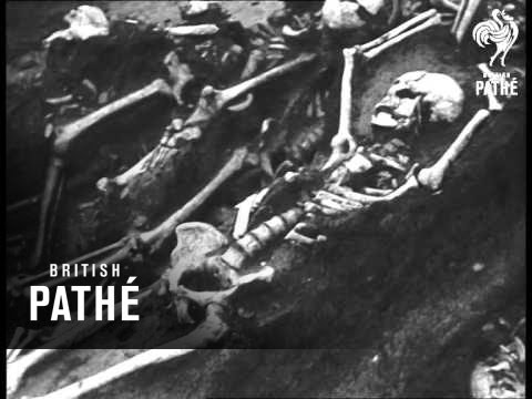 Battlefield Of Mohacs After 434 Years (1960)