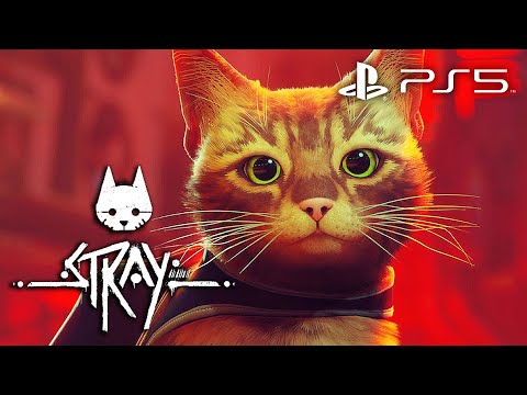 STRAY PS5 Gameplay Walkthrough Part 1 (1440P 60FPS) | NO COMMENTARY (FULL GAME)