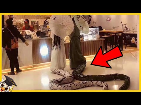 10 Mest Skrämmande Ögonblicken som du INTE bör se ensam