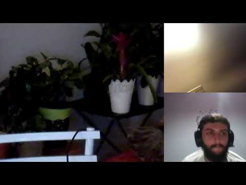 Hipn Regresiva  212recuratare holograme si programe Maria si Familia A si C Moraru