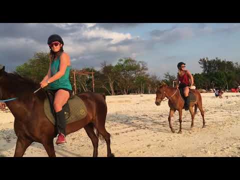 Welcome to my paradise GILI TRAWANGAN Island 😎🌎🌊🌅