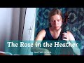 The Rose in the Heather Irish jig on the cello