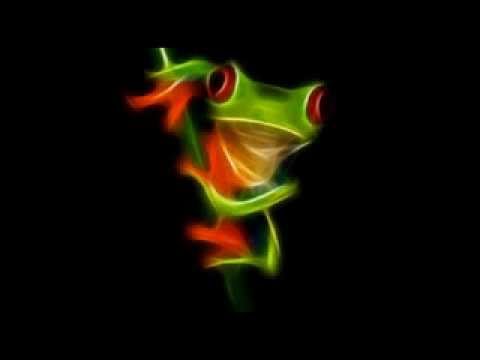 0577 Xamanica - Lakota Thunder - Flag Song - Veterans Song