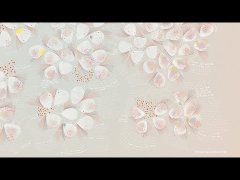 Giorgia Lupi and Kaki King  - Bruises - The Data We Don't See