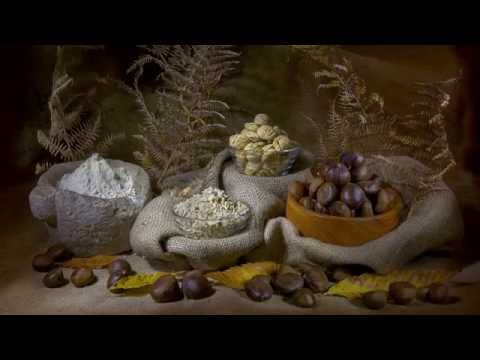 download lagu mp3 mp4 Dried Chestnuts, download lagu Dried Chestnuts gratis, unduh video klip Dried Chestnuts