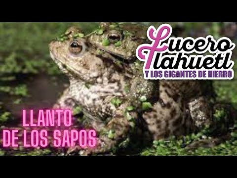 El Llanto De Los Sapos - Lucero Tlahuetl Y Los Gigantes De Hierro
