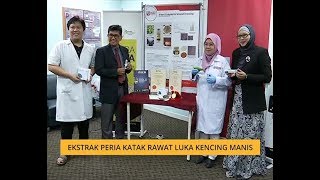 Ekstrak peria katak rawat luka kencing manis