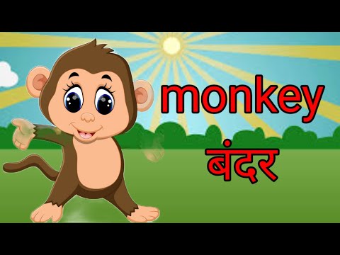 janvaron ke Naam| animals name|domestic and wild animals|animals name Hindi and English|animals name