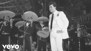 Juan Gabriel - Nunca Había Amado Así