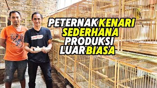 Download lagu CANARY BREEDERS‼️VERY SIMPLE place, EXTRAORDINARY production... mp3 Download lagu CANARY BREEDERS‼️VERY SIMPLE place, EXTRAORDINARY production... mp3