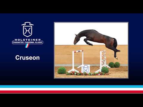 Cruseon v. Casquetto - Cassini I | 2018